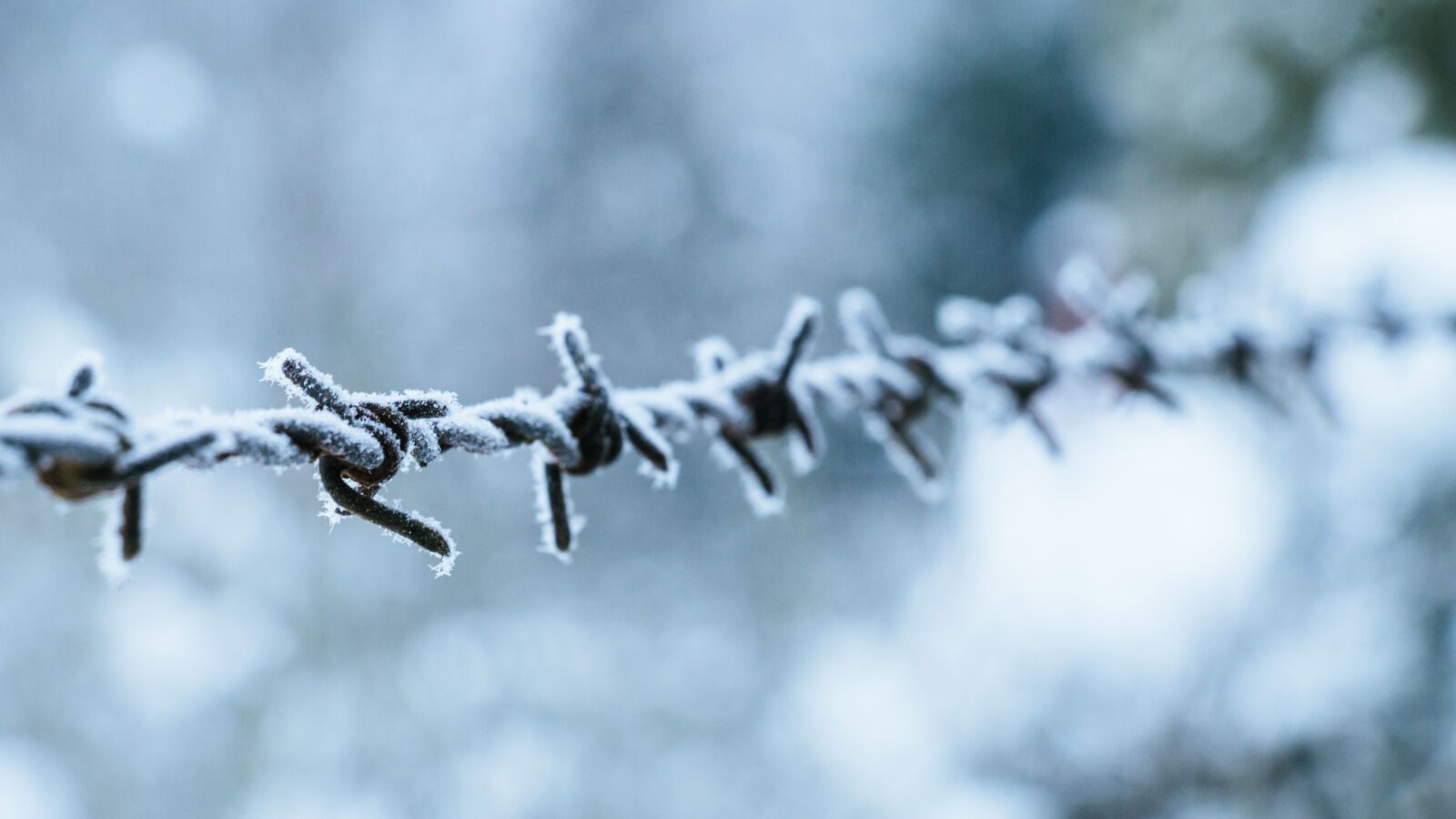 دوربین عکاسی کانن (دسته دوم) CANON EOS 700D Kit EF-S kiss x7i 18-135mm 2DRcI5m0ab_1600